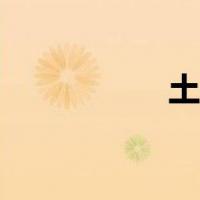 土天麻图片（土天麻）