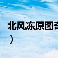 北风冻原图奇是限定吗（北风冻原图奇有特效）
