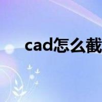cad怎么截图高清的图（cad怎么截图）