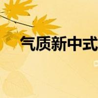 气质新中式风格特点（新中式风格特点）