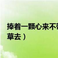 捧着一颗心来不带半根草去的意思（捧着一颗心来不带半根草去）
