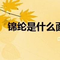 锦纶是什么面料优缺点（锦纶是什么面料）