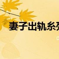 妻子出轨糸列小说 最好带情节故事的片段