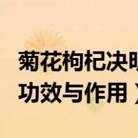菊花枸杞决明子茶的功效与作用（决明子茶的功效与作用）