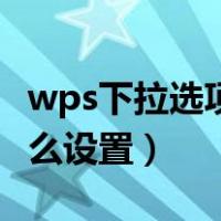 wps下拉选项怎么设置大小（wps下拉选项怎么设置）