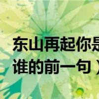 东山再起你是谁的前一句是啥（东山再起你是谁的前一句）