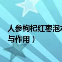 人参枸杞红枣泡水喝的功效与作用（枸杞红枣泡水喝的功效与作用）
