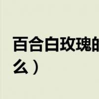 百合白玫瑰的花语是什么（白玫瑰的花语是什么）