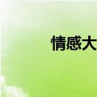 情感大搜索视频（情感大搜索）