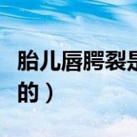 胎儿唇腭裂是怎么造成的（唇腭裂是怎么造成的）