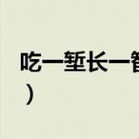 吃一堑长一智作文300字（吃一堑长一智作文）