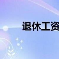 退休工资查询app（退休工资查询）