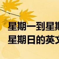 星期一到星期日的英文怎么读视频（星期一到星期日的英文）