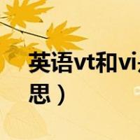 英语vt和vi是什么意思（英语vi vt是什么意思）