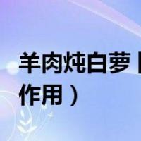 羊肉炖白萝卜的功效与作用（白罗卜的功效与作用）
