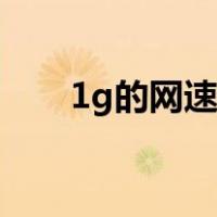 1g的网速是什么样子（1g网络速度）