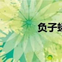负子蝽是什么动物（负子蝽）