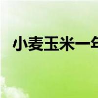 小麦玉米一年两熟的复种指数（复种指数）