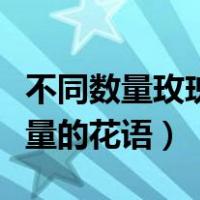 不同数量玫瑰花语是什么意思（玫瑰花不同数量的花语）