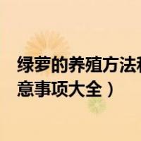 绿萝的养殖方法和注意事项养殖日记（绿萝的养殖方法和注意事项大全）