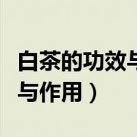 白茶的功效与作用一年茶三年药（白茶的功效与作用）