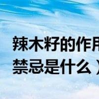 辣木籽的作用与用处（辣木籽的功效与作用及禁忌是什么）