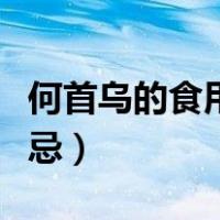 何首乌的食用方法和禁忌（何首乌的功效与禁忌）