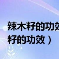辣木籽的功效与作用一天吃多少粒为好（辣木籽的功效）