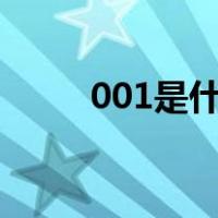 001是什么意思（0 0是什么意思）
