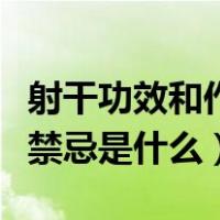 射干功效和作用及禁忌（射干的功效与作用及禁忌是什么）