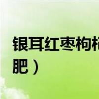 银耳红枣枸杞汤减肥冰糖（银耳红枣枸杞汤减肥）