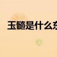 玉髓是什么东西值得佩戴吗（玉髓是什么）