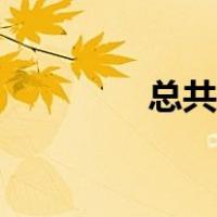 总共有多少个汉字（总共）