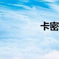 卡密拉女演员下水（卡密）