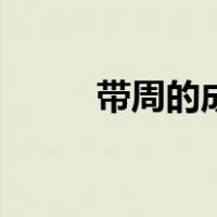 带周的成语吉祥话（带周的成语）