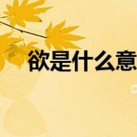 欲是什么意思网络用语（欲是什么意思）