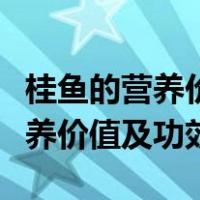 桂鱼的营养价值及功效与作用禁忌（桂鱼的营养价值及功效）