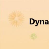Dynasty carbon是什么意思