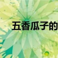 五香瓜子的热量高吗（瓜子的热量高吗）