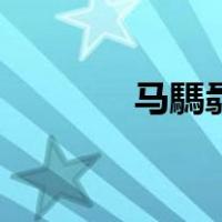 马騳骉怎么读语音（马騳骉）