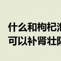 什么和枸杞泡水喝能壮阳（枸杞和什么泡水喝可以补肾壮阳）