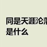 同是天涯沦落人相逢何必曾相识这句话的意思是什么