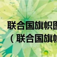 联合国旗帜图案是一双橄榄枝衬托着整个地球（联合国旗帜）