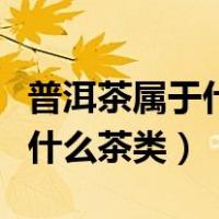 普洱茶属于什么茶类可常年保存（普洱茶属于什么茶类）