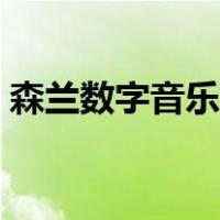 森兰数字音乐文化产业项目（文化产业项目）