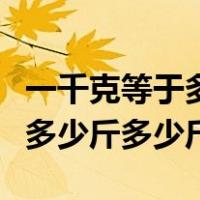 一千克等于多少斤多少斤怎么算（一千克等于多少斤多少斤）