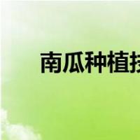 南瓜种植技术与管理施肥（南瓜种植）