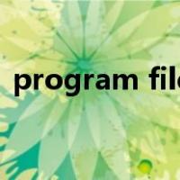program files(x86)里的哪些文件可以删除