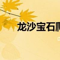 龙沙宝石爬藤月季优缺点（龙沙宝石）
