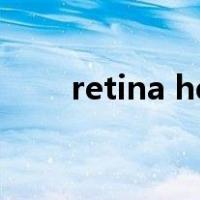 retina hd是什么材质（retina hd）